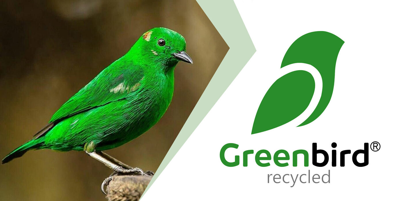 logo greenbird green-bird